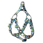 Sushi party - Belelépős Kutyahám - april & june