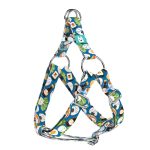 Sushi party - Belelépős Kutyahám - april & june