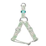 Tavaszi virágzás - Belelépős Kutyahám - april & june