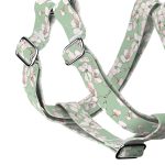 Tavaszi virágzás - Belelépős Kutyahám - april & june