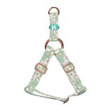 Tavaszi virágzás - Belelépős Kutyahám - april & june