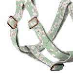 Tavaszi virágzás - Belelépős Kutyahám - april & june