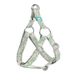 Tavaszi virágzás - Belelépős Kutyahám - april & june