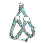 Koi tó - Belelépős Kutyahám - april & june