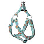 Koi tó - Belelépős Kutyahám - april & june