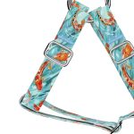 Koi tó - Belelépős Kutyahám - april & june