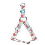 Dinnye - Belelépős Kutyahám - Watermelon - april & june