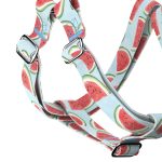 Dinnye - Belelépős Kutyahám - Watermelon - april & june