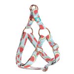 Dinnye - Belelépős Kutyahám - Watermelon - april & june