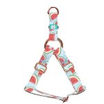 Dinnye - Belelépős Kutyahám - Watermelon - april & june