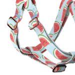 Dinnye - Belelépős Kutyahám - Watermelon - april & june