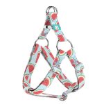 Dinnye - Belelépős Kutyahám - Watermelon - april & june