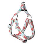 Dinnye - Belelépős Kutyahám - Watermelon - april & june