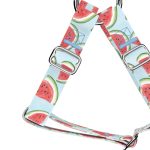 Dinnye - Belelépős Kutyahám - Watermelon - april & june