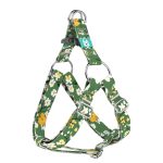 Virágzó liget - Belelépős Kutyahám - Springtime grove - april & june