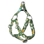 Virágzó liget - Belelépős Kutyahám - Springtime grove - april & june