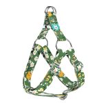 Virágzó liget - Belelépős Kutyahám - Springtime grove - april & june