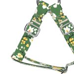 Virágzó liget - Belelépős Kutyahám - Springtime grove - april & june