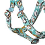 Spániel - Cavalier, kék - Belelépős Kutyahám - blue - april & june