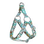 Spániel - Cavalier, kék - Belelépős Kutyahám - blue - april & june