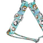 Spániel - Cavalier, kék - Belelépős Kutyahám - blue - april & june