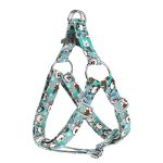 Ausztrál juhász, kék - Belelépős Kutyahám - blue - april & june