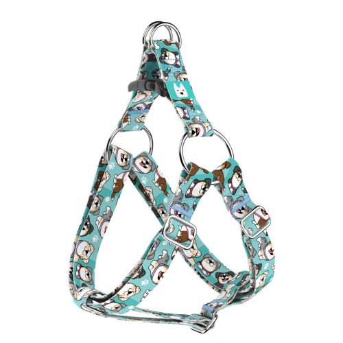 Ausztrál juhász, kék - Belelépős Kutyahám - blue - april & june