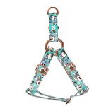 Ausztrál juhász, kék - Belelépős Kutyahám - blue - april & june