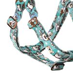 Ausztrál juhász, kék - Belelépős Kutyahám - blue - april & june