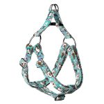 Ausztrál juhász, kék - Belelépős Kutyahám - blue - april & june