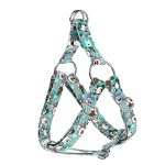 Ausztrál juhász, kék - Belelépős Kutyahám - blue - april & june