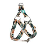 Naplemente - Belelépős Kutyahám - april & june