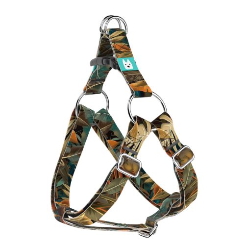 Indián nyár - Belelépős Kutyahám - april & june