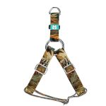 Indián nyár - Belelépős Kutyahám - april & june