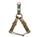 Indián nyár - Belelépős Kutyahám - april & june