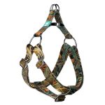 Indián nyár - Belelépős Kutyahám - april & june