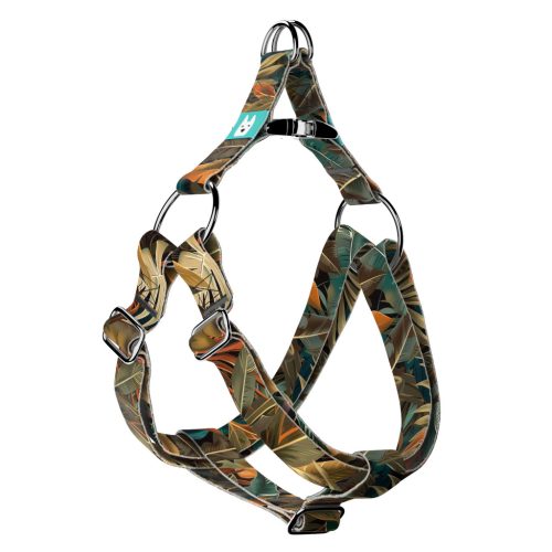 Indián nyár - Belelépős Kutyahám - april & june