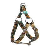 Indián nyár - Belelépős Kutyahám - april & june