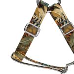 Indián nyár - Belelépős Kutyahám - april & june