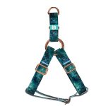 Zöld galaxis - Belelépős Kutyahám - april & june