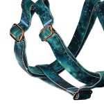 Zöld galaxis - Belelépős Kutyahám - april & june