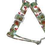 Téli fenyves - Belelépős Kutyahám - april & june