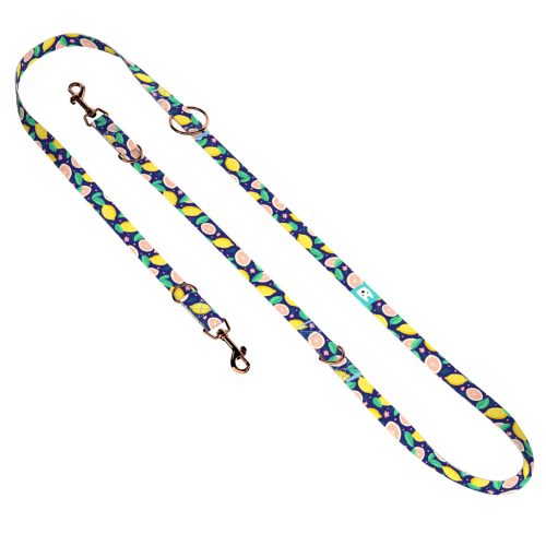 Kék Citrom - Tréning-és Oktatópóráz - Blue Lemon - april & june