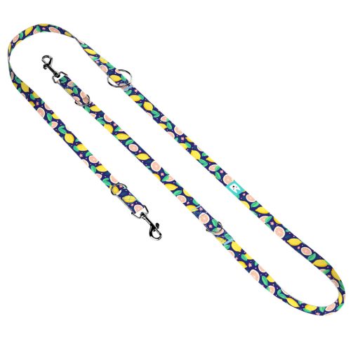 Kék Citrom - Tréning-és Oktatópóráz - Blue Lemon - april & june