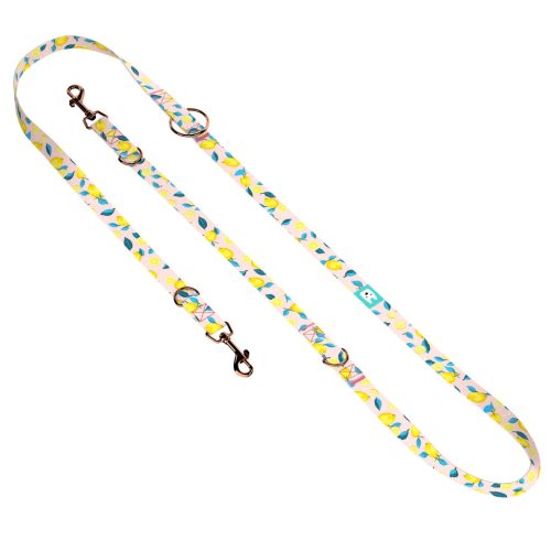 Nyári Citromok - Tréning-és Oktatópóráz - Summer Fresh - april & june