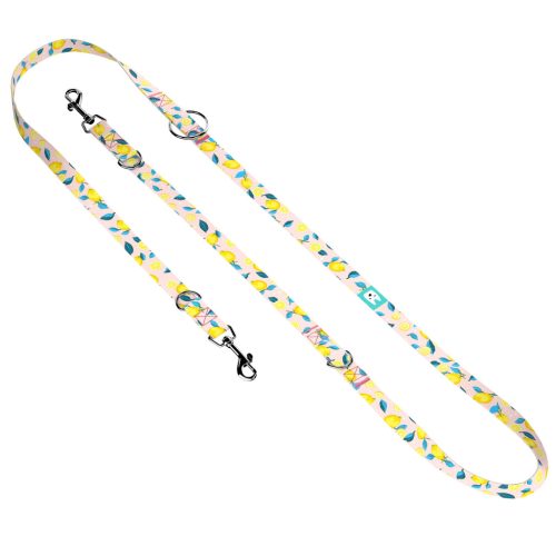 Nyári Citromok - Tréning-és Oktatópóráz - Summer Fresh - april & june