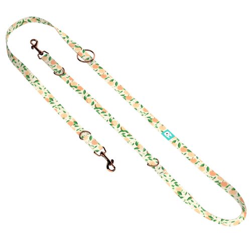 Barack mintás - Tréning-és Oktatópóráz - Peaches - april & june