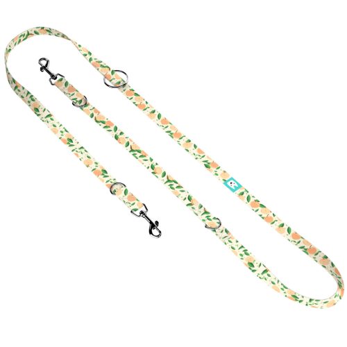 Barack mintás - Tréning-és Oktatópóráz - Peaches - april & june