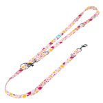 Nyári gyümölcsök - Tréning-és Oktatópóráz - Summer fruits - april & june