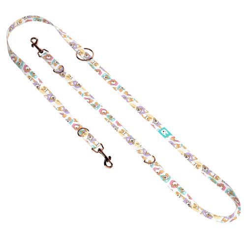 Pembroke Welsh Corgi - Tréning-és Oktatópóráz - Pembroke Welsh Corgi - april & june